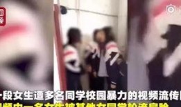 女子爆料被跟踪视频大全,惊心动魄的追踪与揭秘